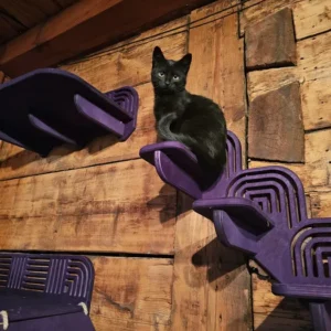 signal-2024-11-14-113544_002_wynik