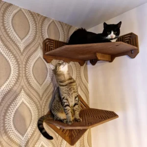 Cat shelfs modern diamond corner shelf for cats