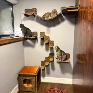 Cat walk Oriental Set