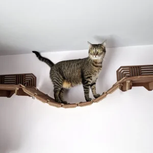 Modern cat bridge – stylish and sturdy wall-mounted bridge for cats.