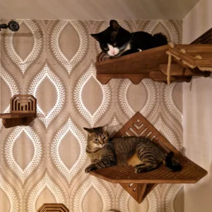 cat walk modern walnut step corner shelf for cats diamond shelf 2