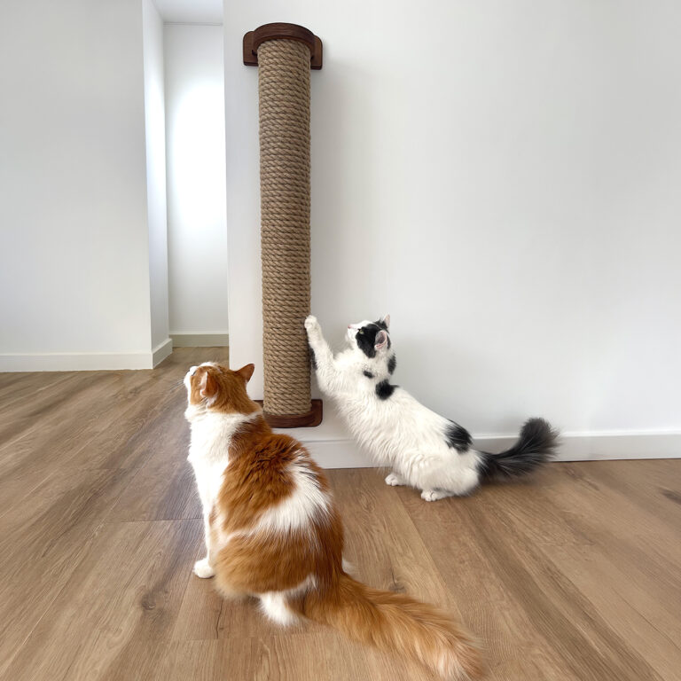 Cat scratcher