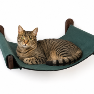 hammock for cats