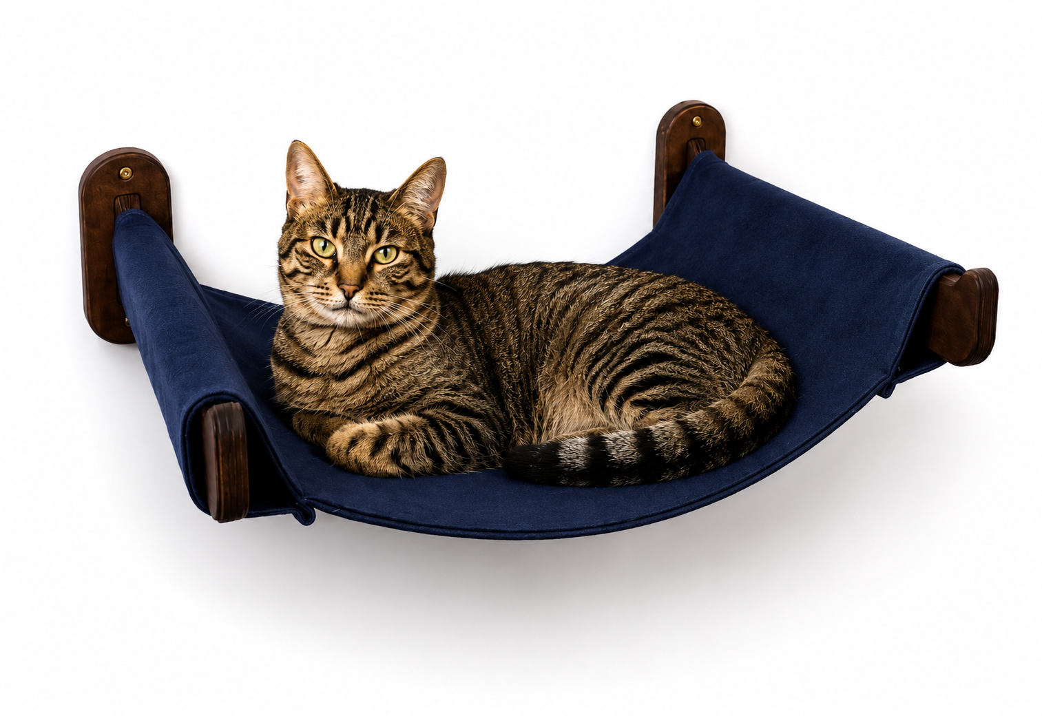 cat hammock navy blue